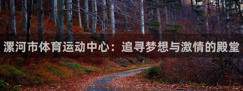 oety欧亿：漯河市体育运动中心：追寻梦想与激情的殿堂